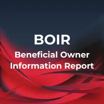 BOIR (Beneficial Ownership Information Report)